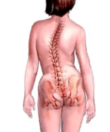 Pathology of the musculoskelo system